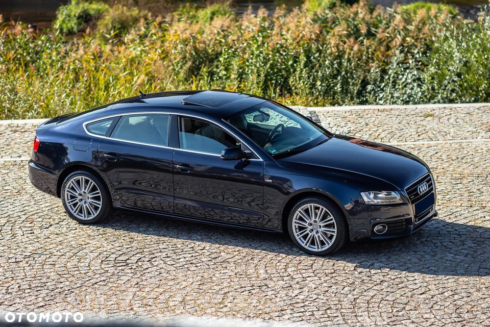 Audi A5 Sportback 3.0 TDI quattro DPF S tronic - 1