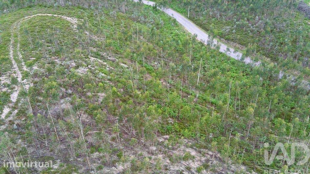 Terreno Agrícola em Espite - Grande imagem: 5/12