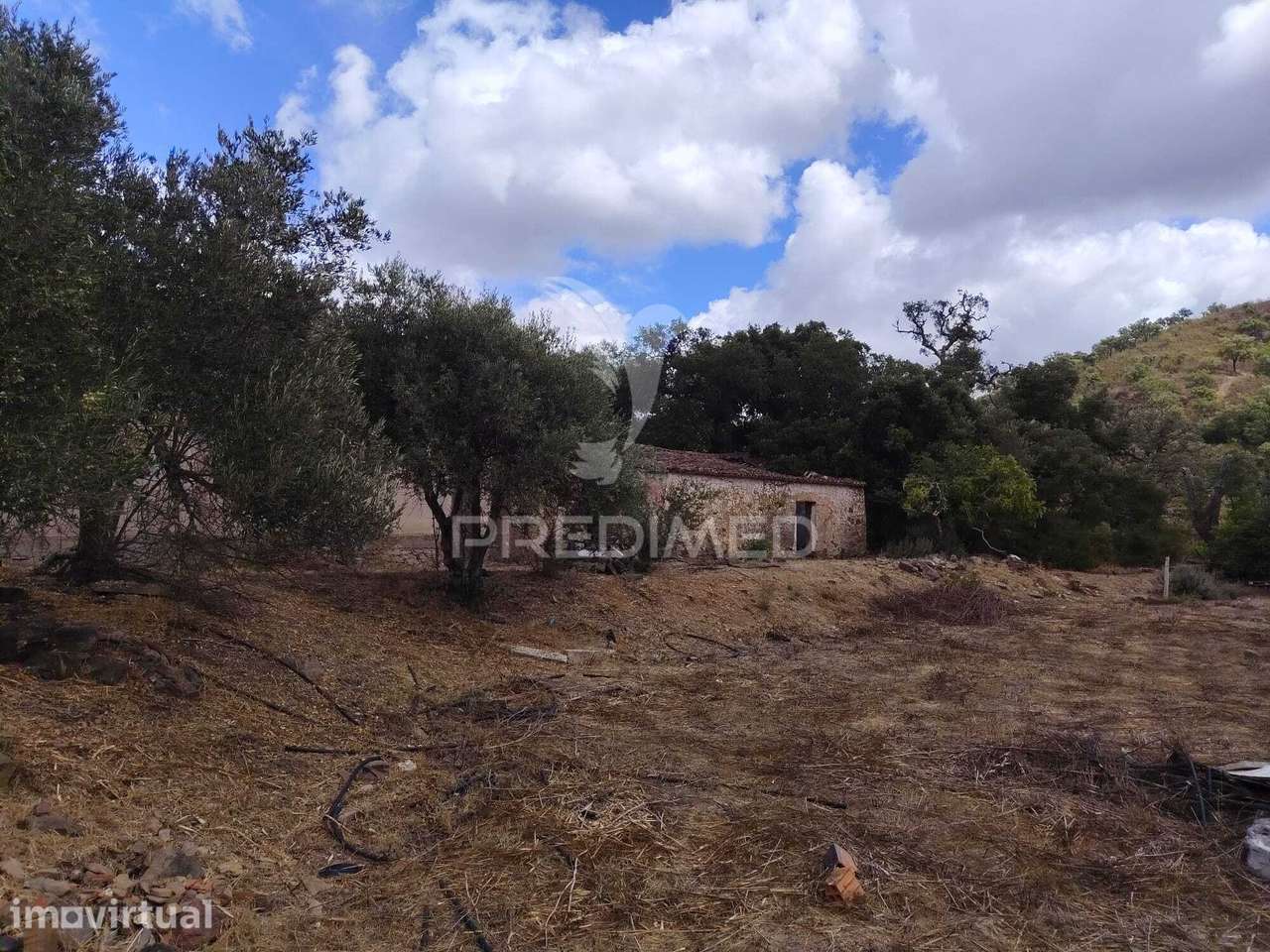 Dois parcelas para construção- Divididas por uma estrada municipal - Grande imagem: 5/27