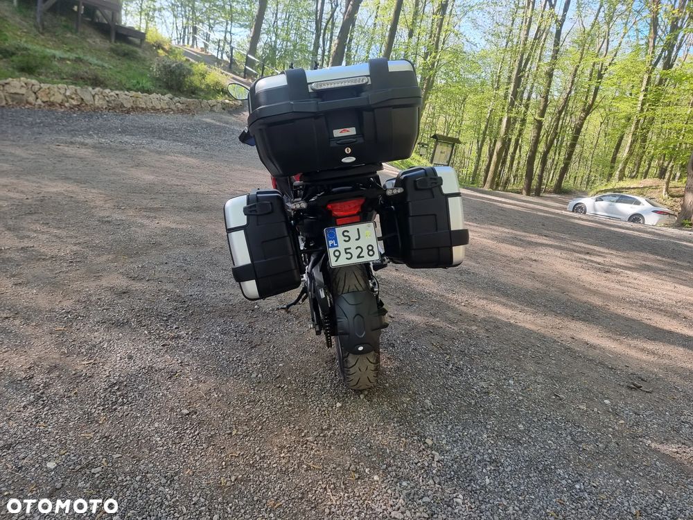 Benelli TRK 502 - 12