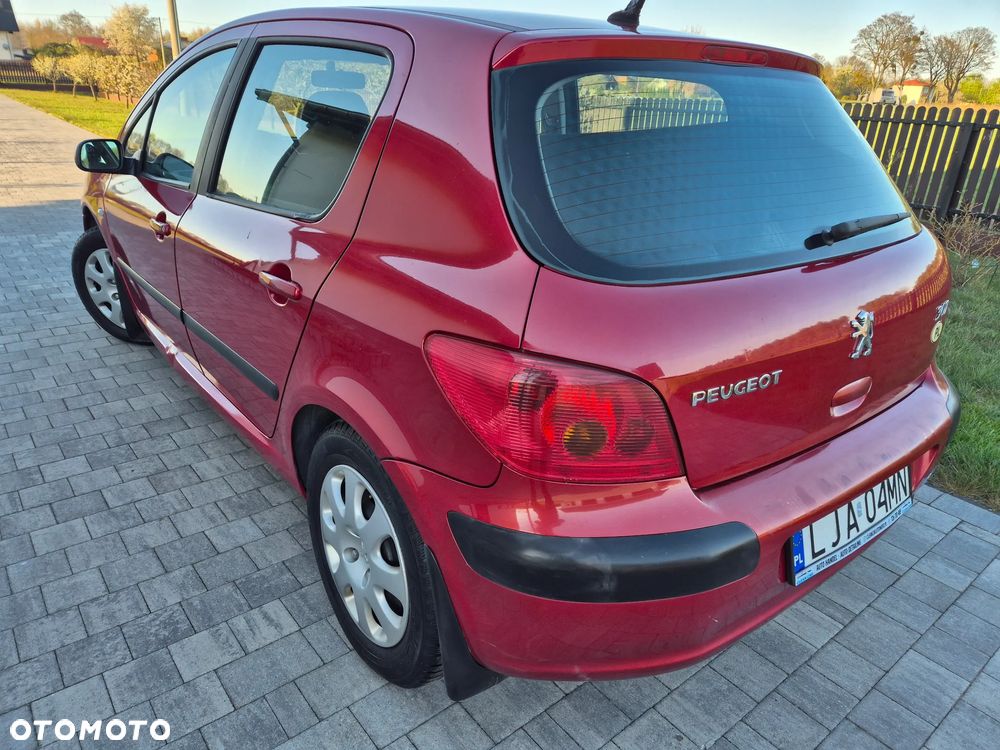 Peugeot 307 1.4 XS - 5