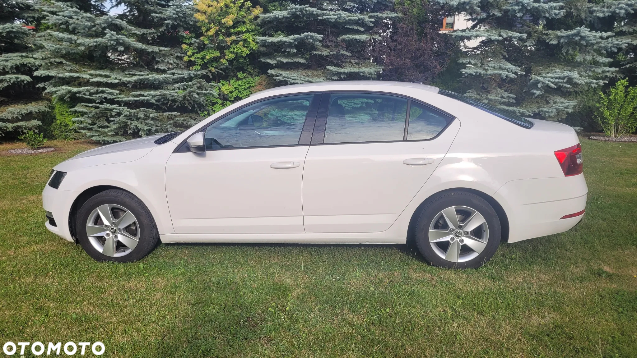 Skoda Octavia 2.0 TDI Ambition DSG - 8