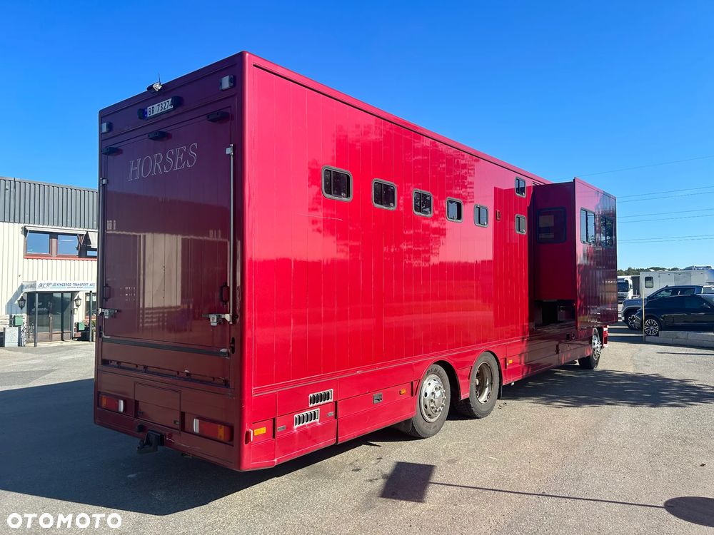 Scania R340 Koniowóz POP OUT - 5