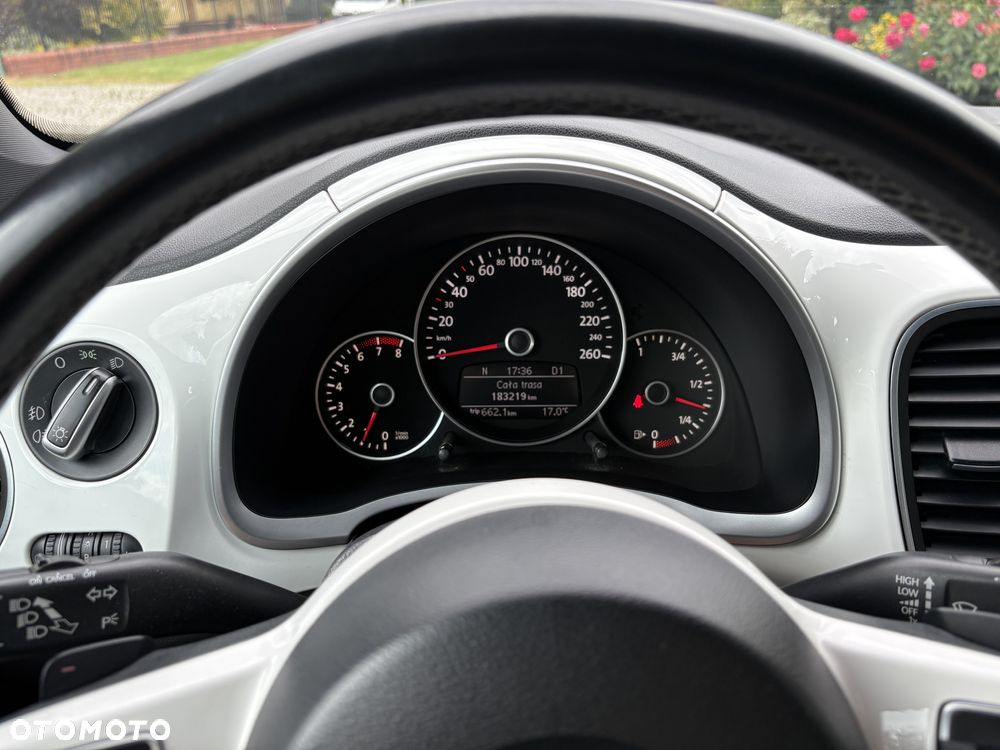Volkswagen Beetle - 15