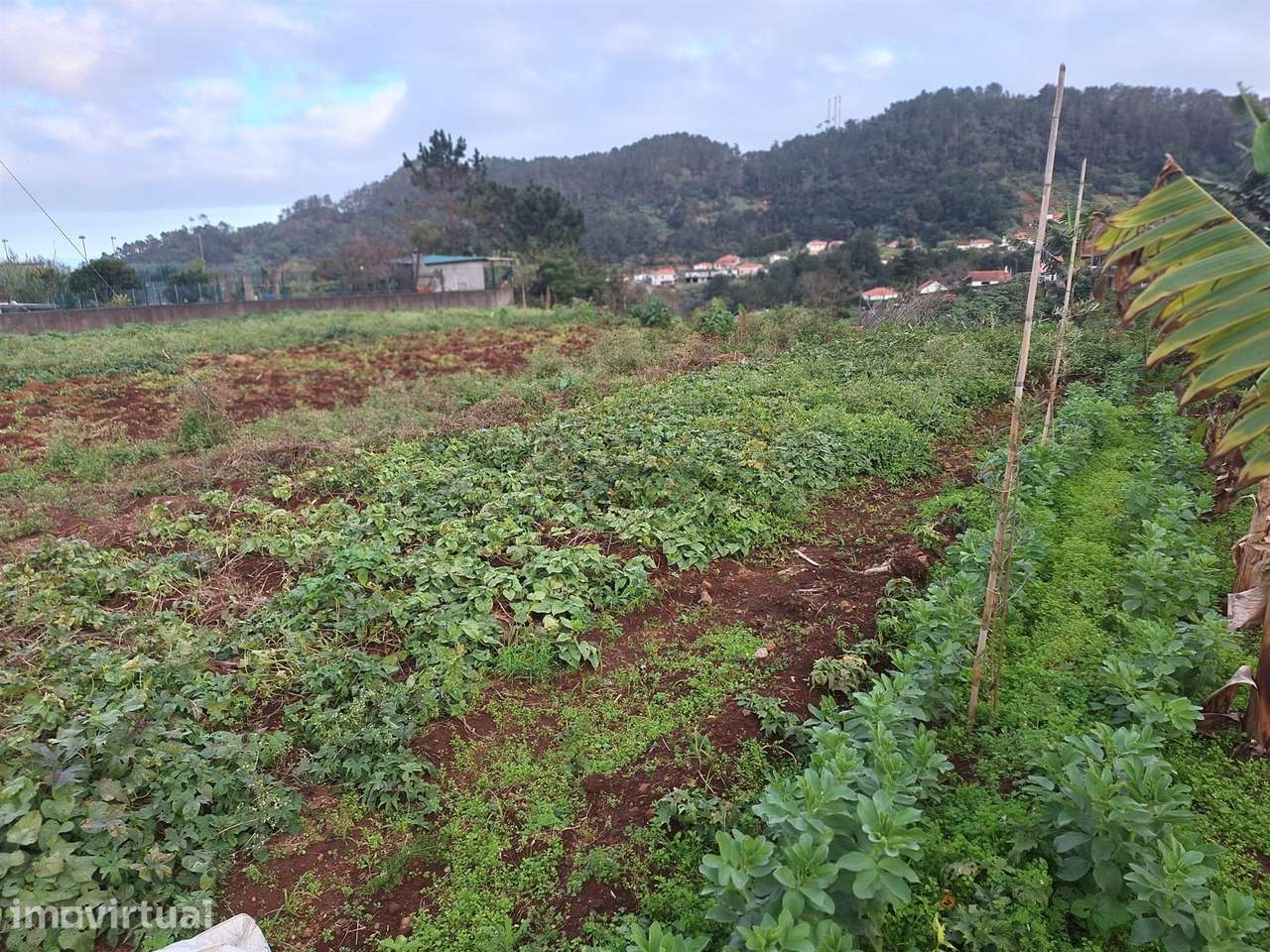 Madeira | Terreno com Potencial Extraordinário e Vista Mar - Grande imagem: 3/11