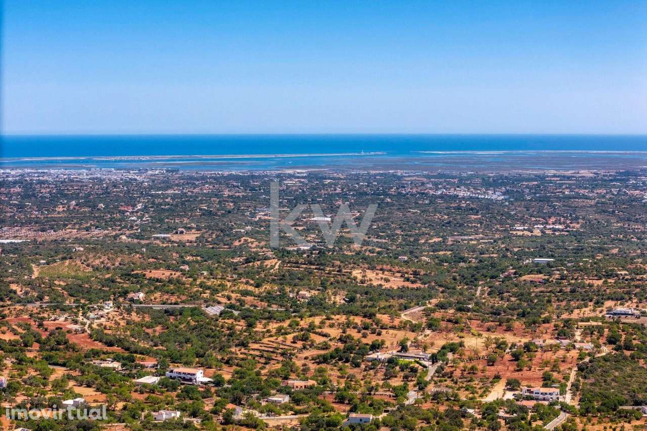 Terreno Rustico com Vista para o Mar - Grande imagem: 5/34