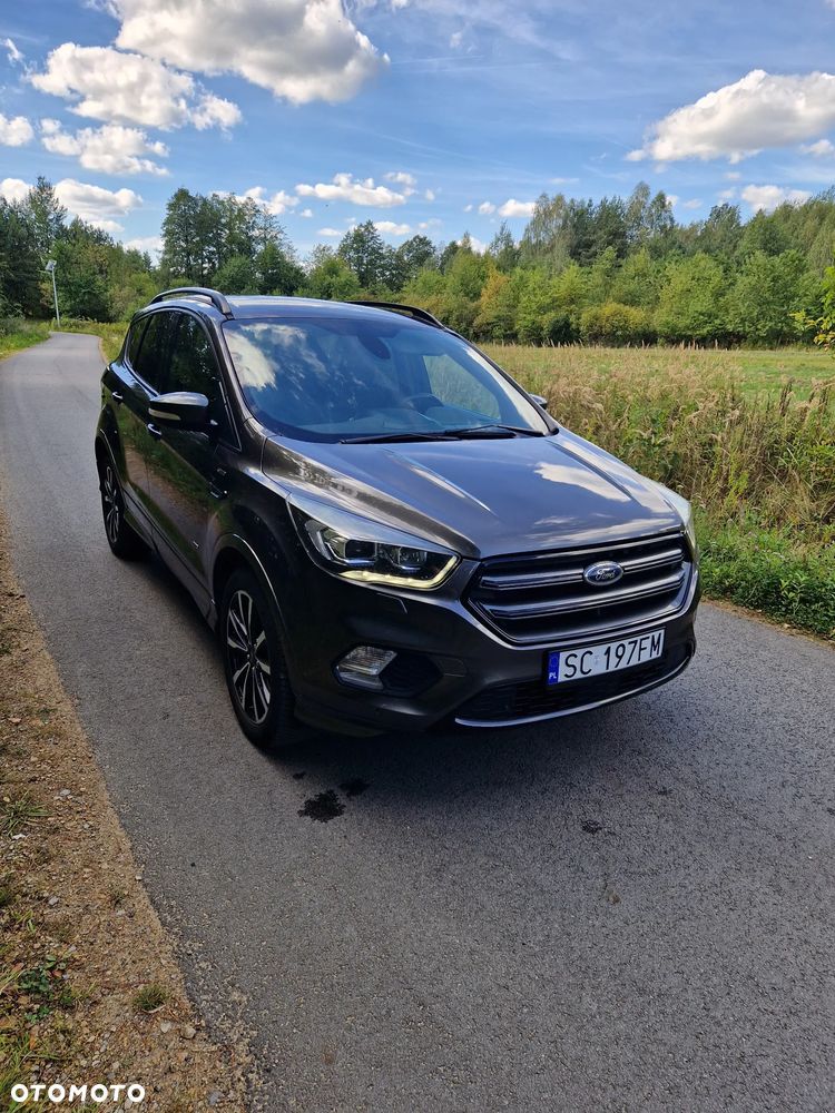 Ford Kuga 2017 photo 3
