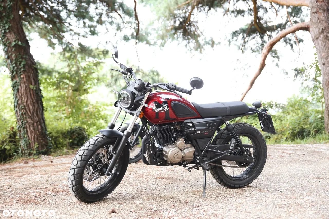 Mondial Inny - 16
