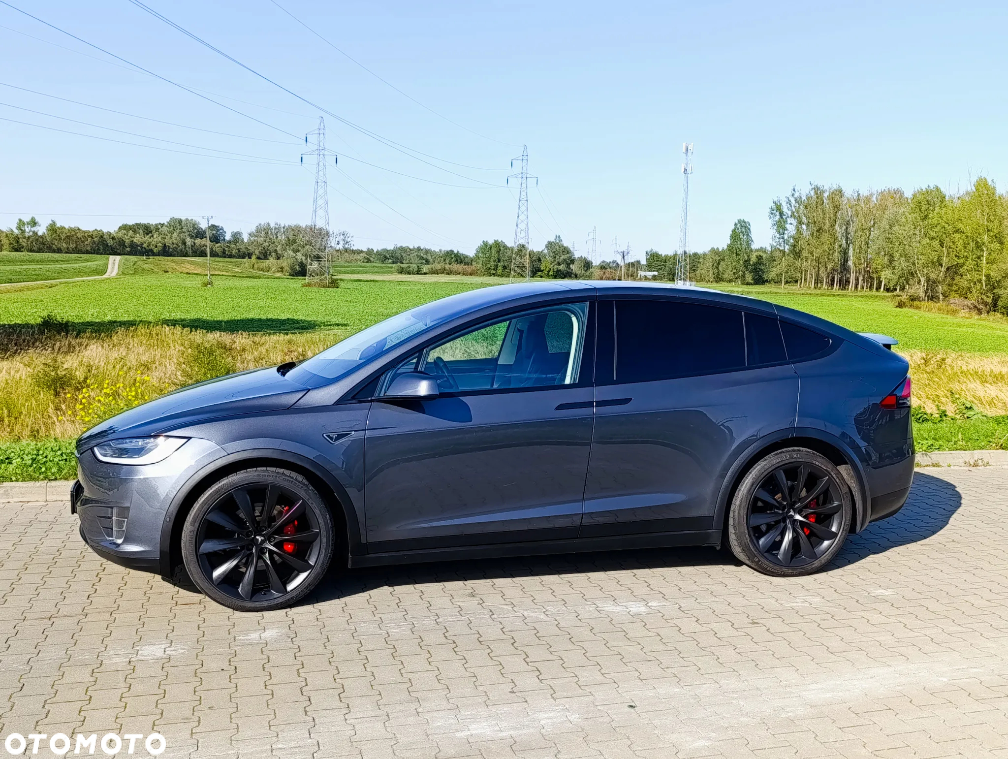 Tesla Model X Performance - 13