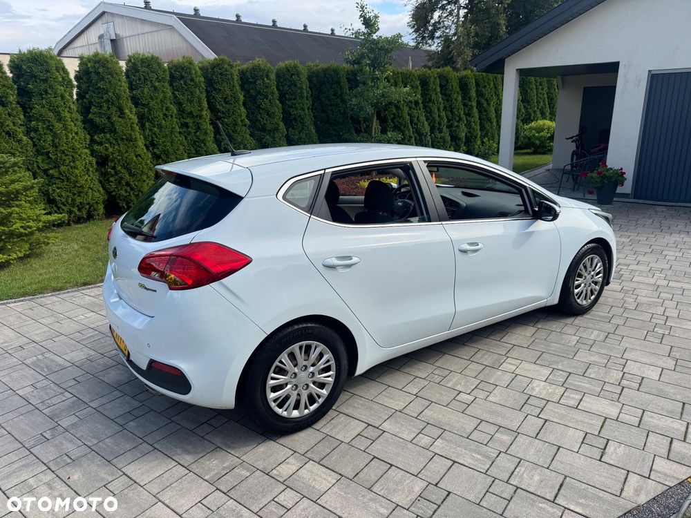 Kia Ceed 1.6 GDI Platinum Edition - 14
