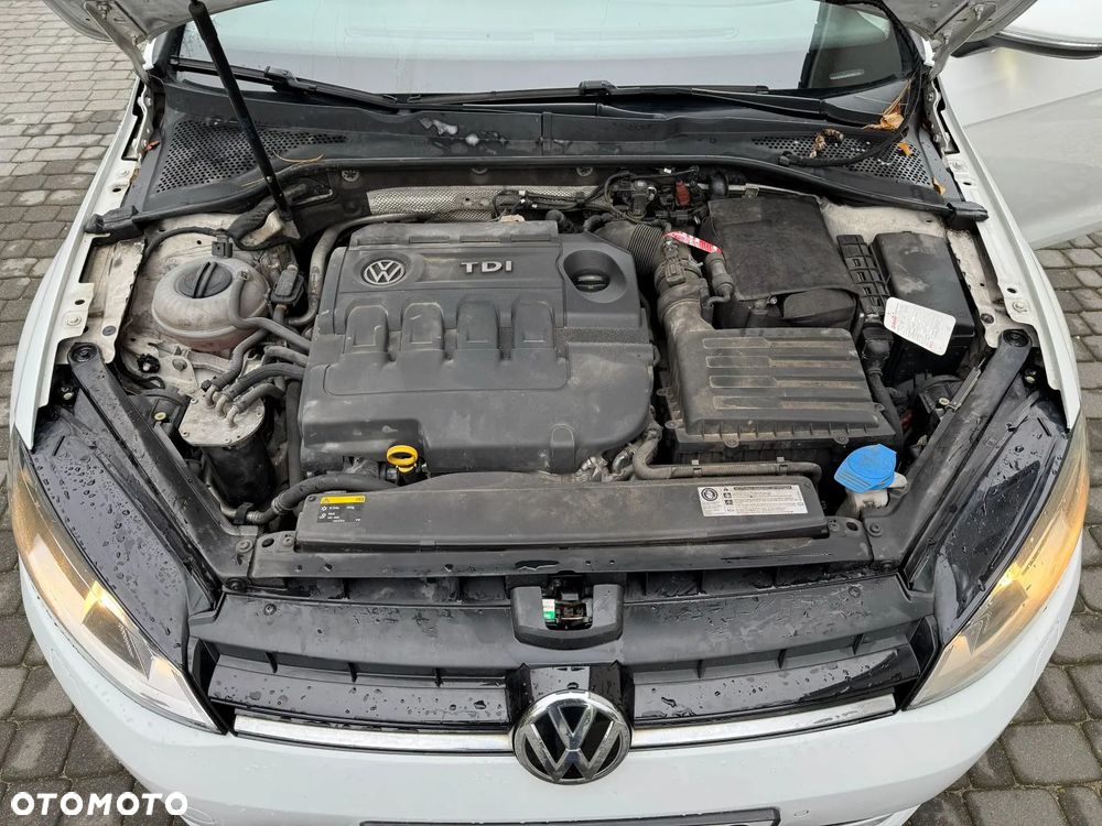 Volkswagen Golf - 14