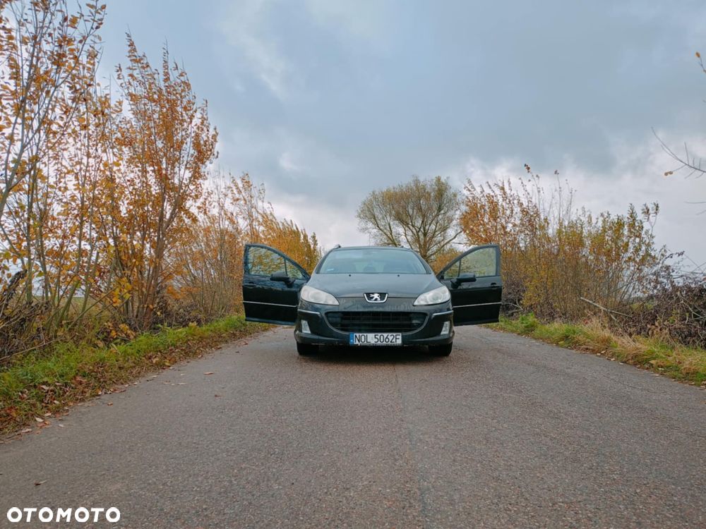Peugeot 407 2.0 HDI Intense - 5