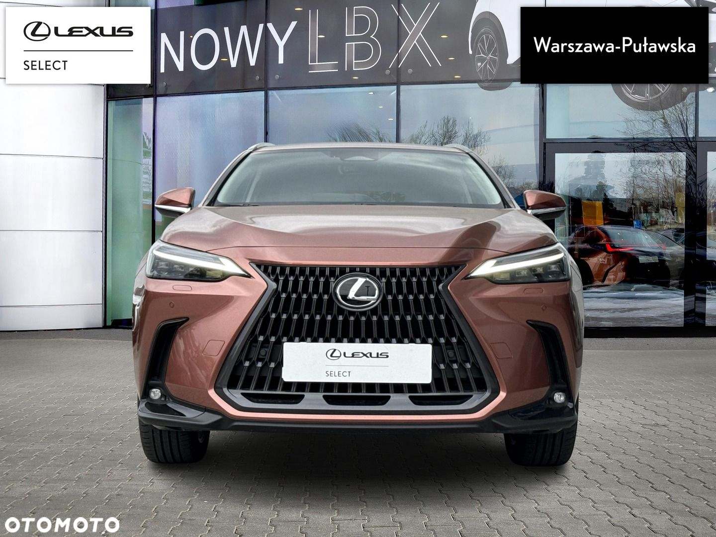 Lexus NX - 6