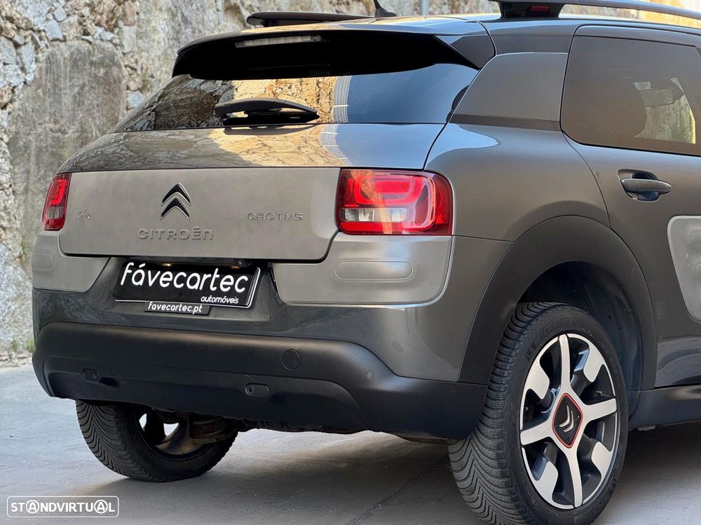Citroën C4 Cactus 1.6 BlueHDi Shine - 19