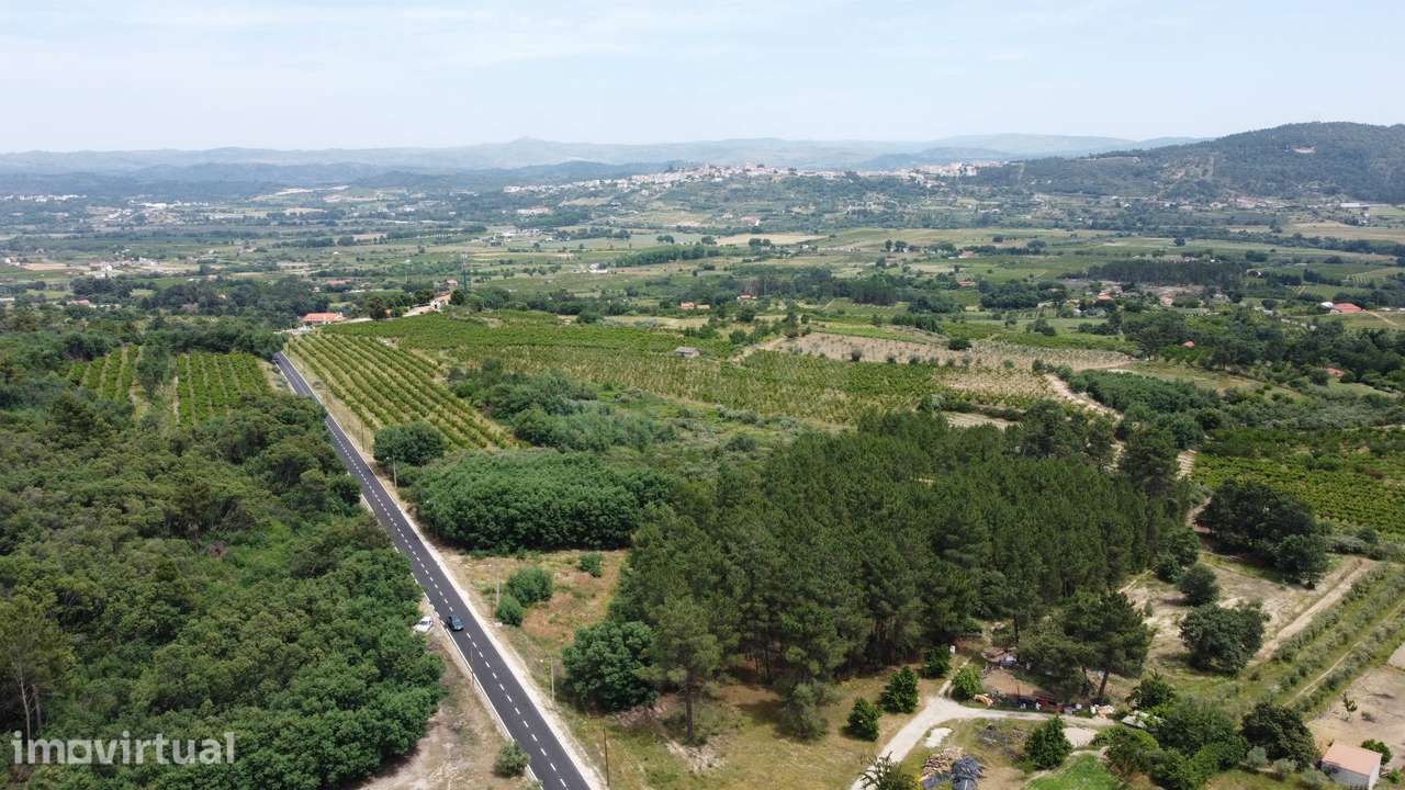 Terreno Rústico c/ 8.331 m² em Aldeia do Souto – Covilhã - Grande imagem: 5/9