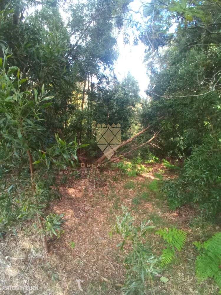 Terreno Rústico de 850 m² - Fonte Arcada - Grande imagem: 2/3