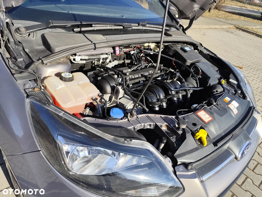 Ford Focus 1.6 TI-VCT Champions Edition - 30