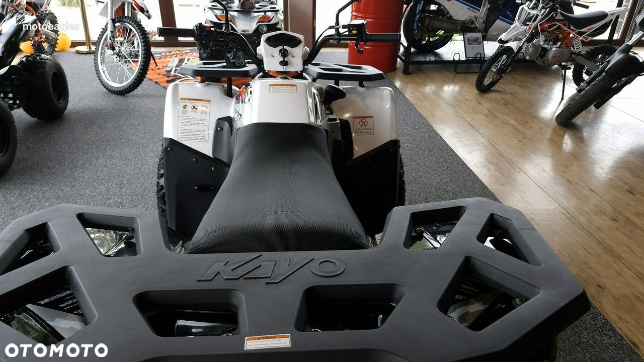 KAYO AU - 10