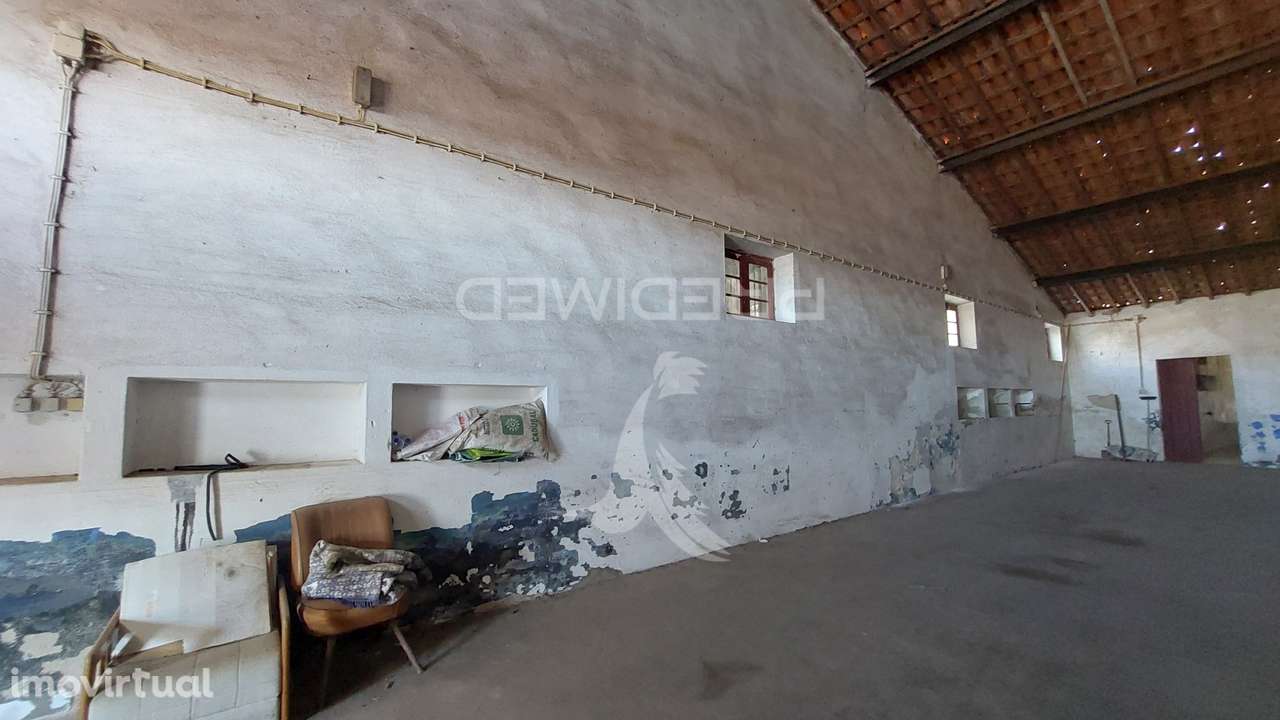 Armazém em Mombeja - Grande imagem: 5/11