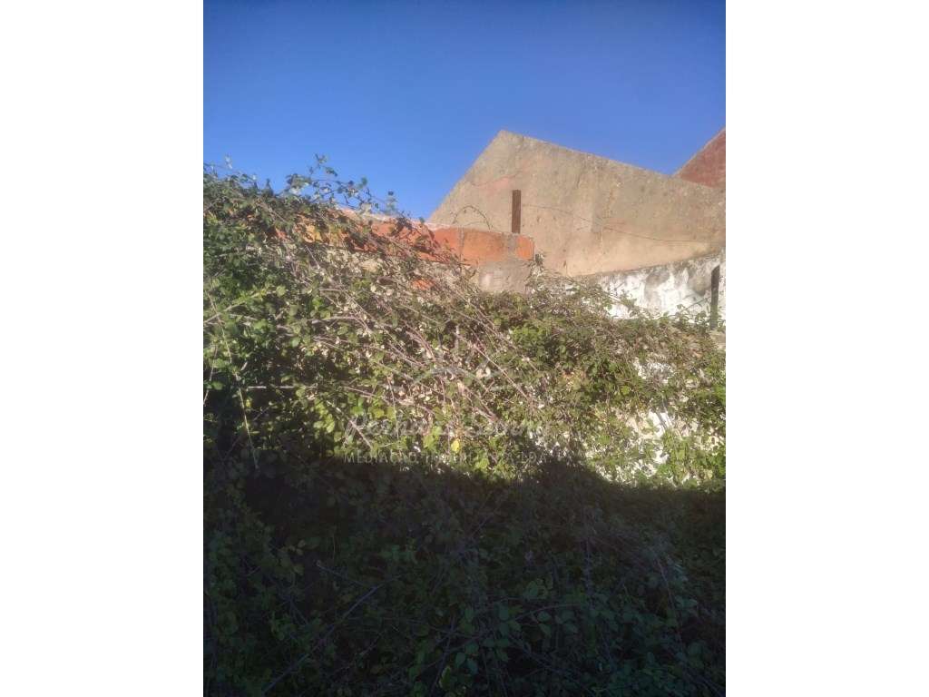 Moradia para recuperar - Grândola - Grande imagem: 5/7