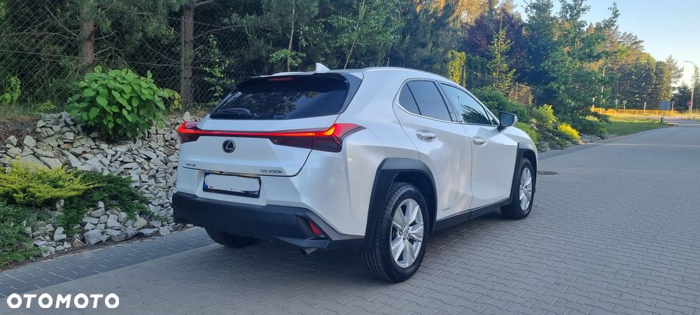 Lexus UX 250h F Sport 2WD - 6