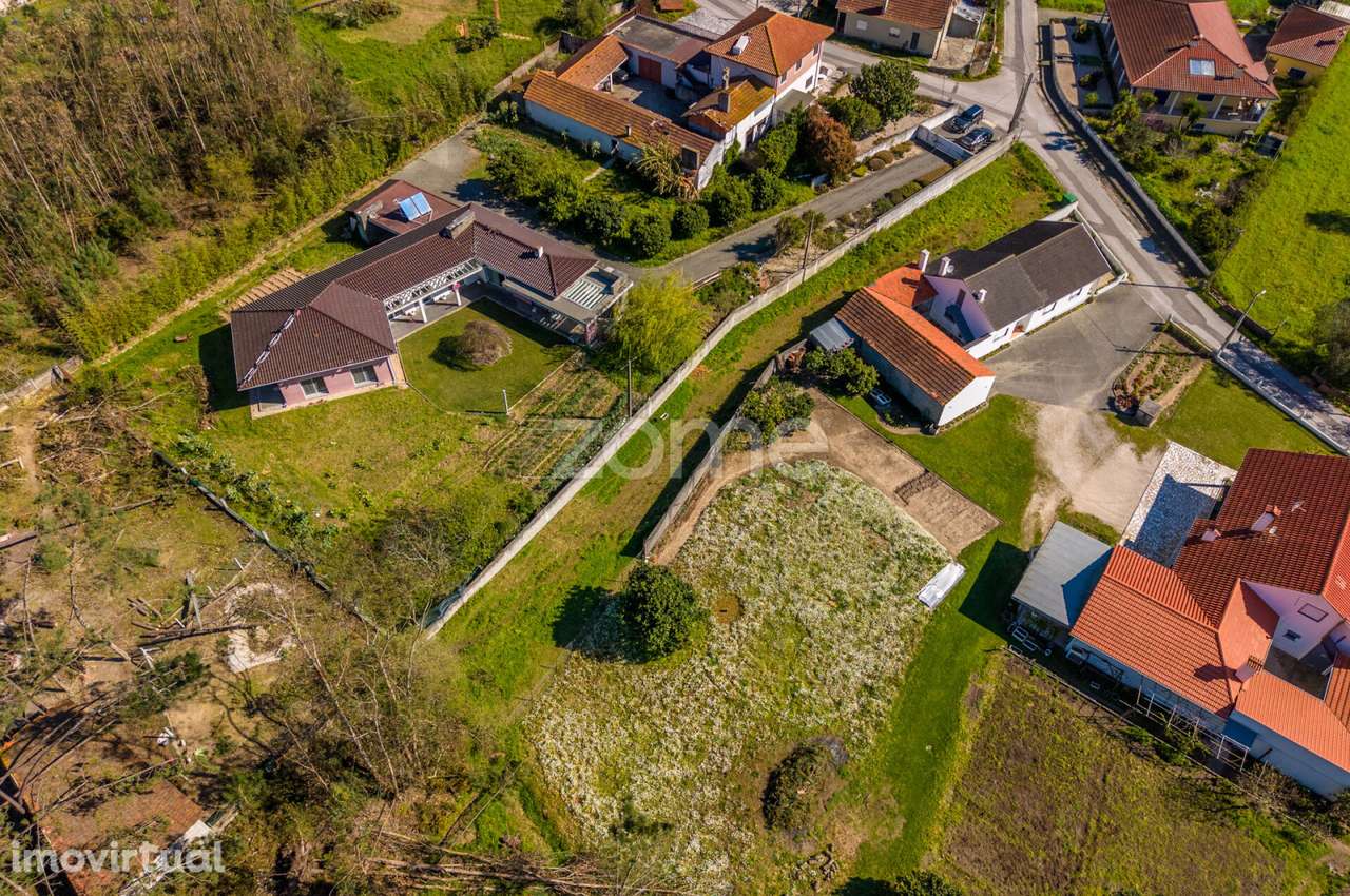 Terreno rústico – Souto da Carpalhosa - Grande imagem: 4/23