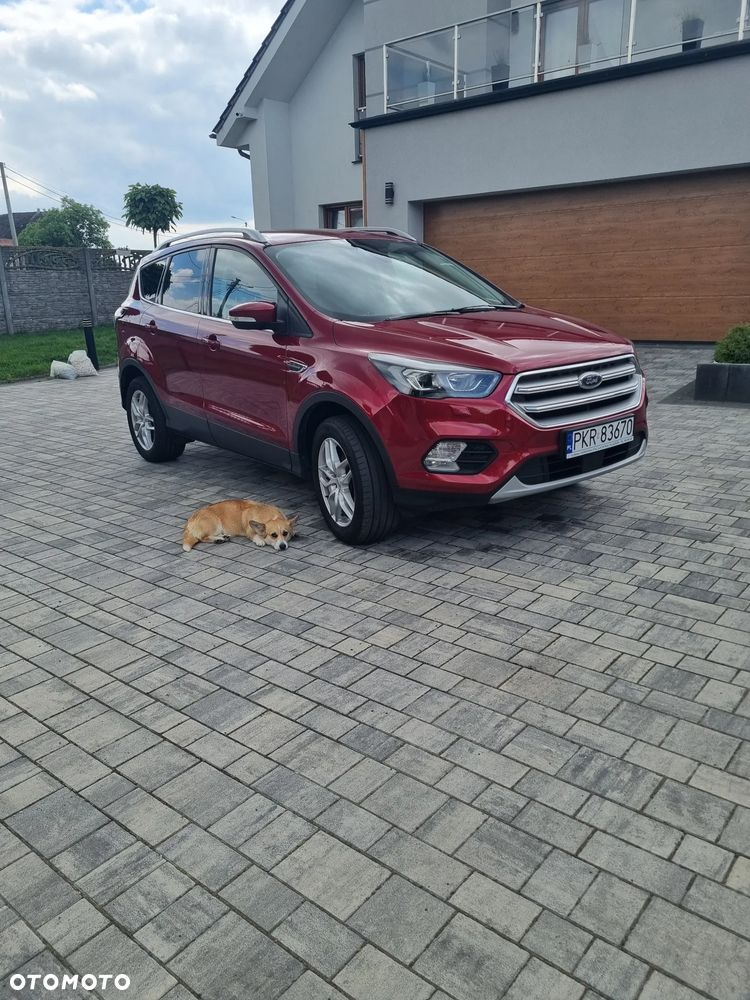 Ford Kuga 1.5 EcoBoost FWD Titanium ASS - 6