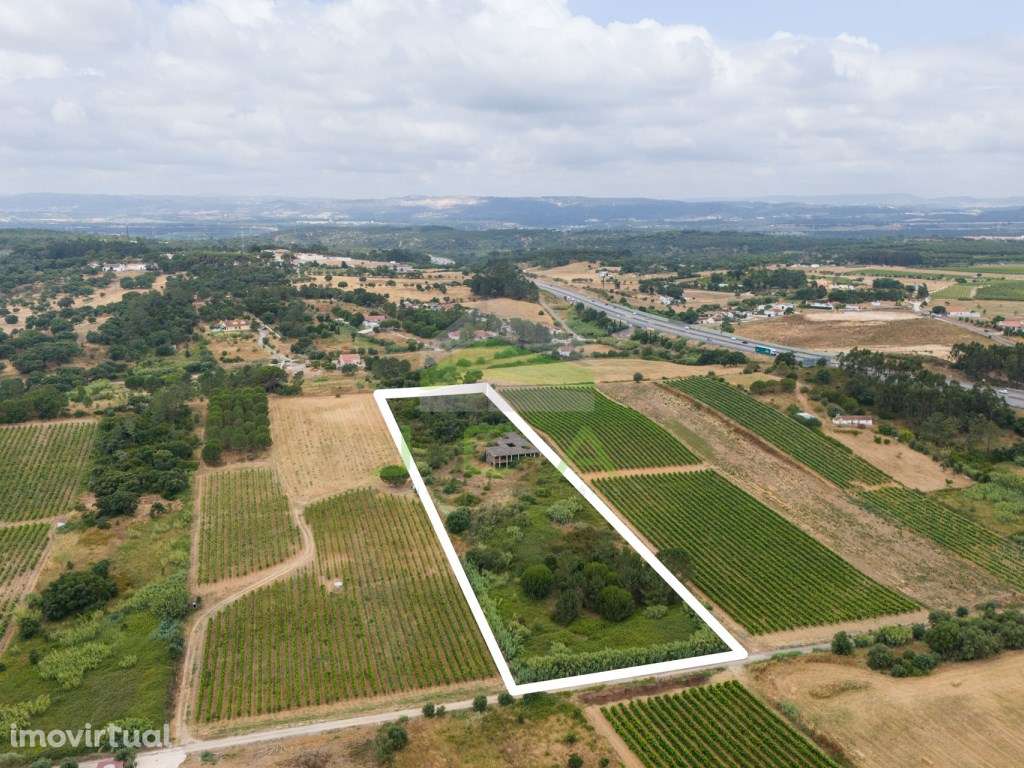 Terreno com 15.840m2 em Aveiras de Cima - Grande imagem: 3/19