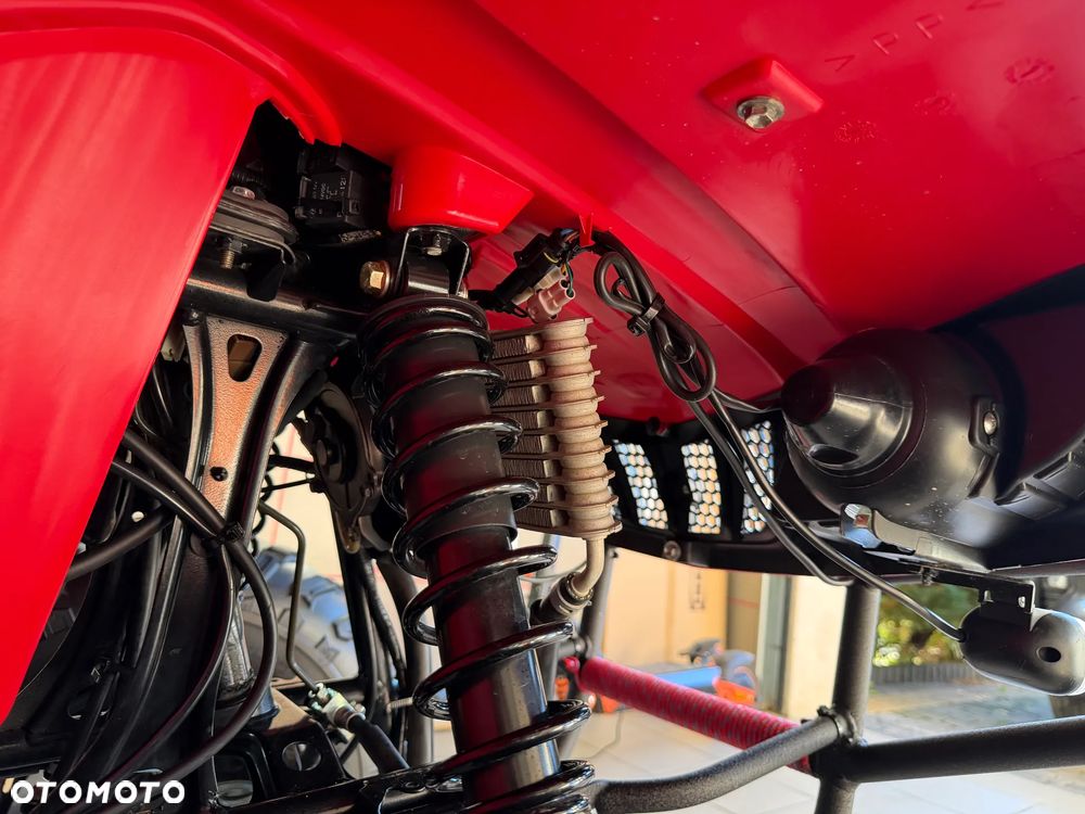 Yamaha Grizzly - 28