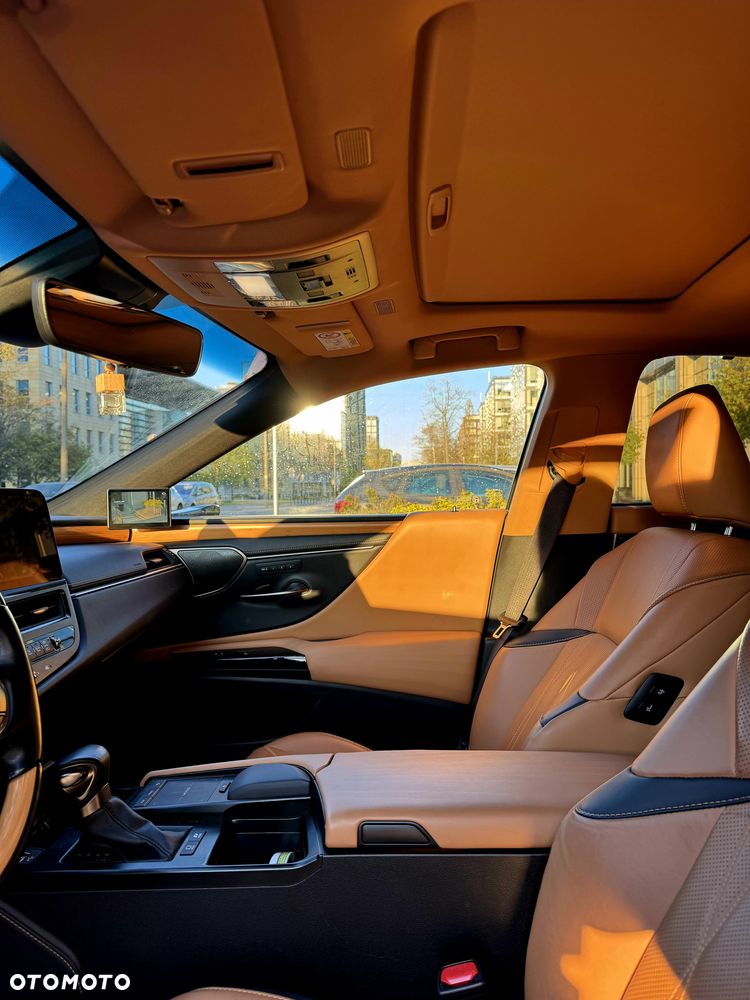 Lexus ES 300h Omotenashi - 13