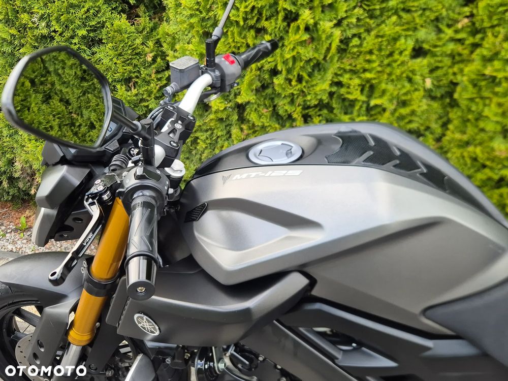 Yamaha MT - 14