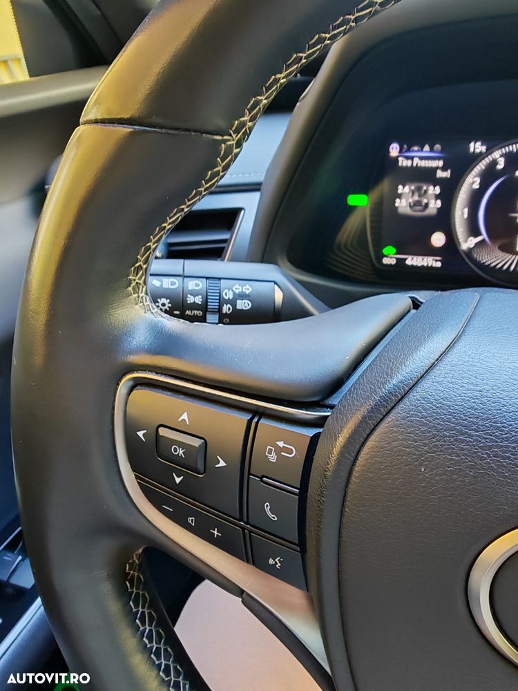 Lexus UX 250h Business Edition - 15