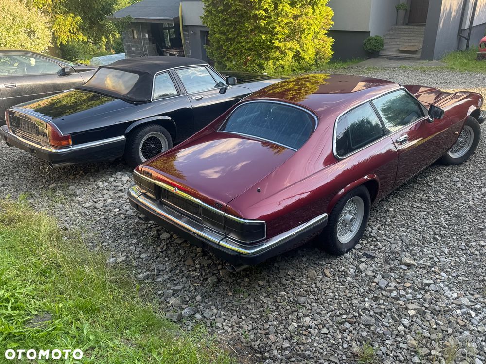 Jaguar XJS - 3
