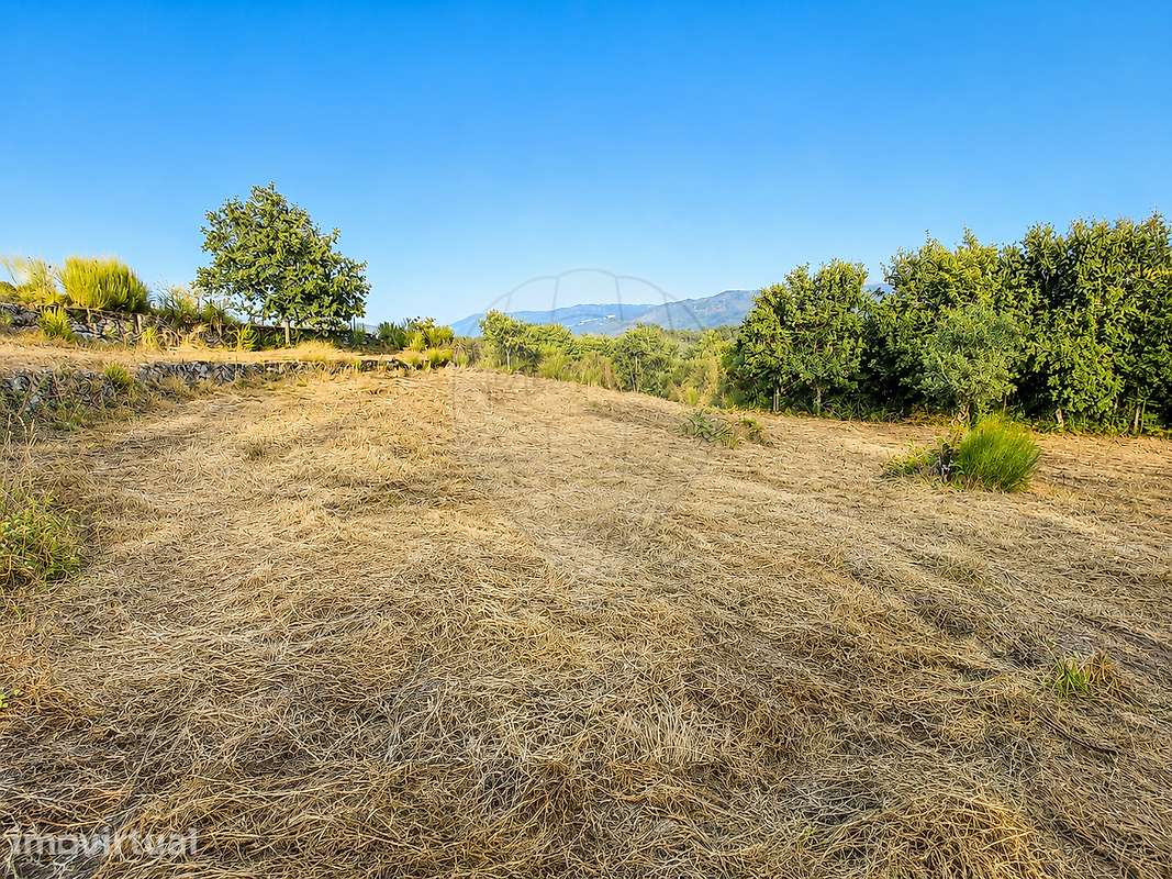 Terreno  para venda - Grande imagem: 3/6