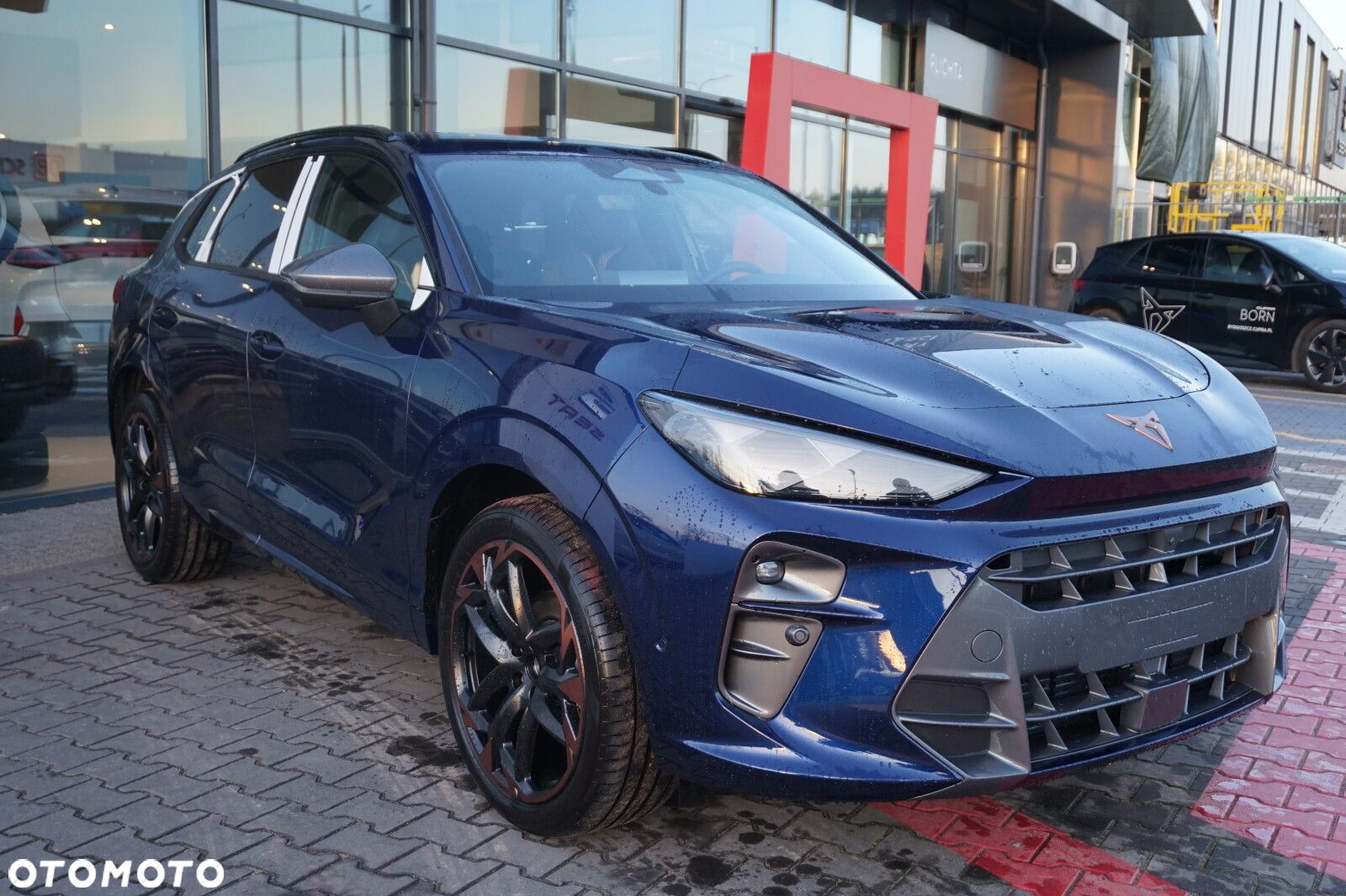 Cupra Terramar - 3