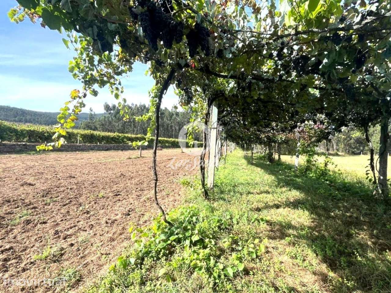 Terreno em Barcelos - Grande imagem: 2/22