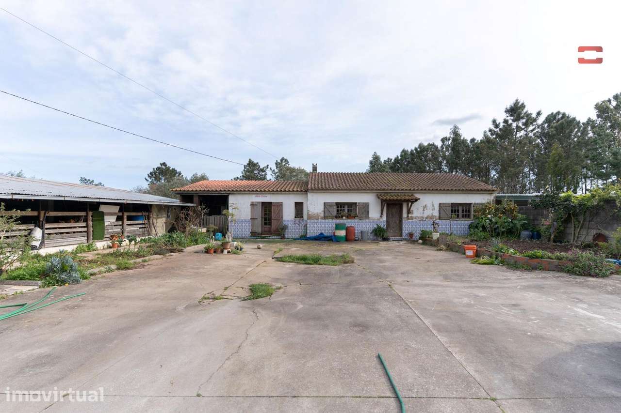 Moradia T4, Loureira - Grande imagem: 5/39