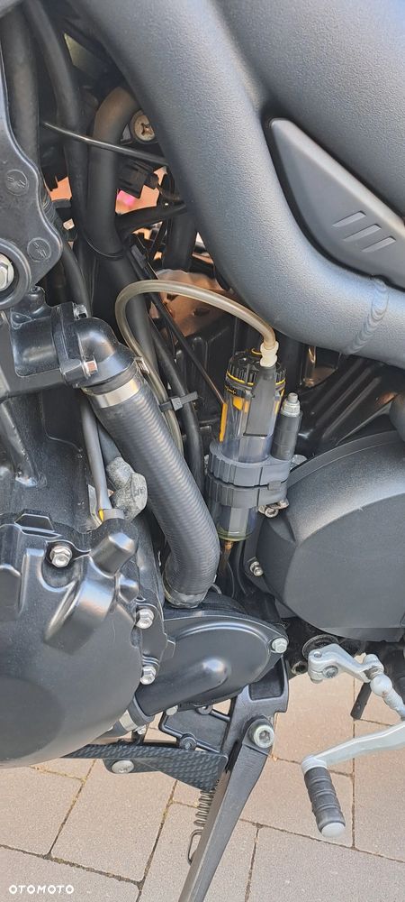Triumph Tiger - 5