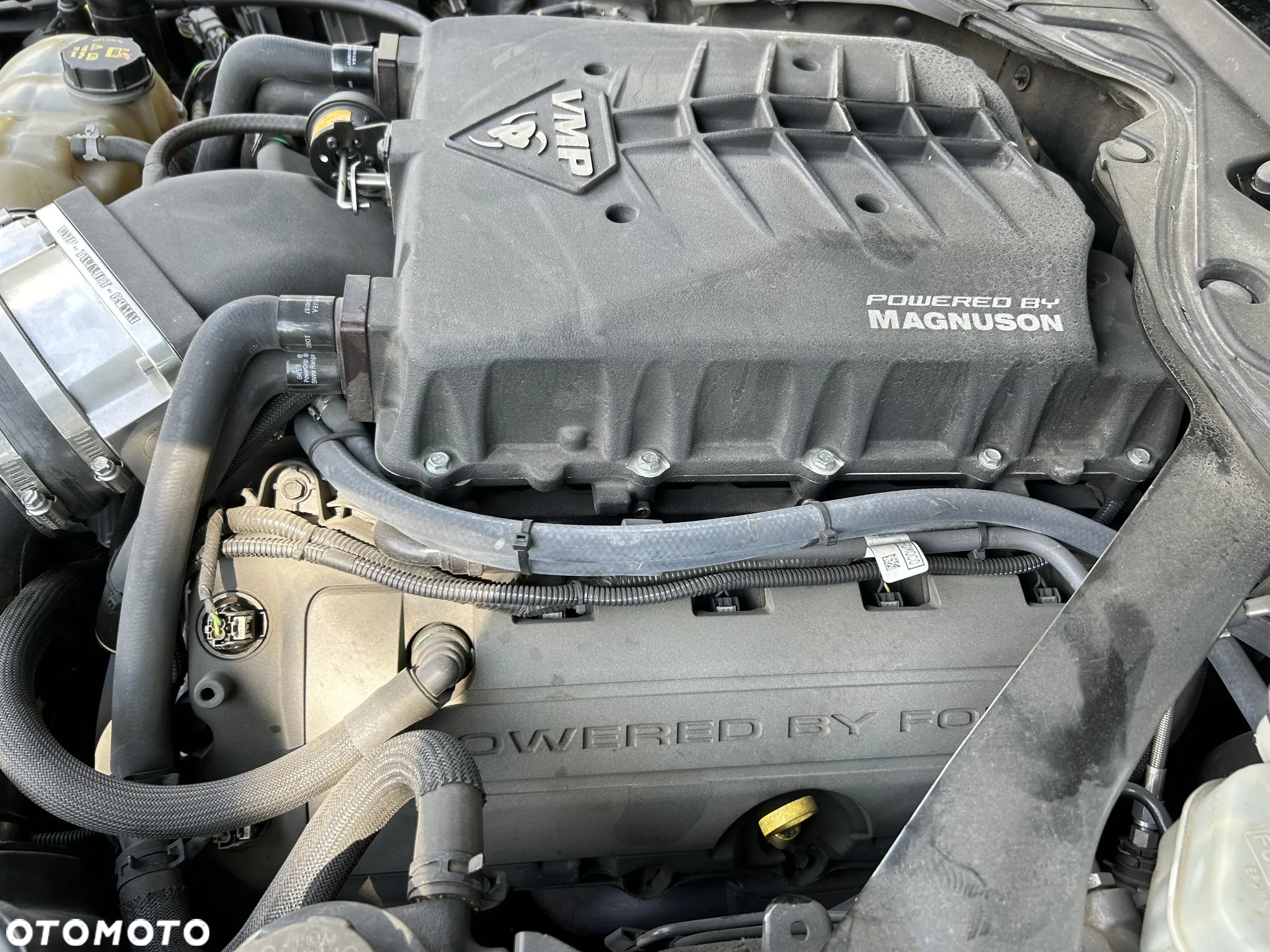 Ford Mustang - 22
