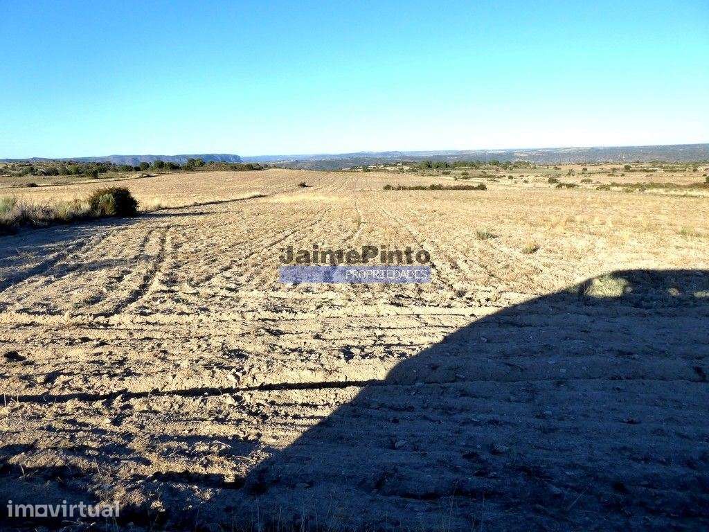 Propriedade plana, 17ha para plantações agrícolas. Portugal, Guarda... - Grande imagem: 4/5