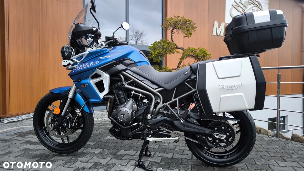 Triumph Tiger - 10