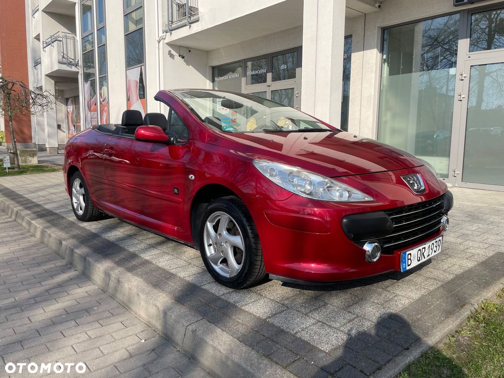 Peugeot 307 2.0 Sporty - 11
