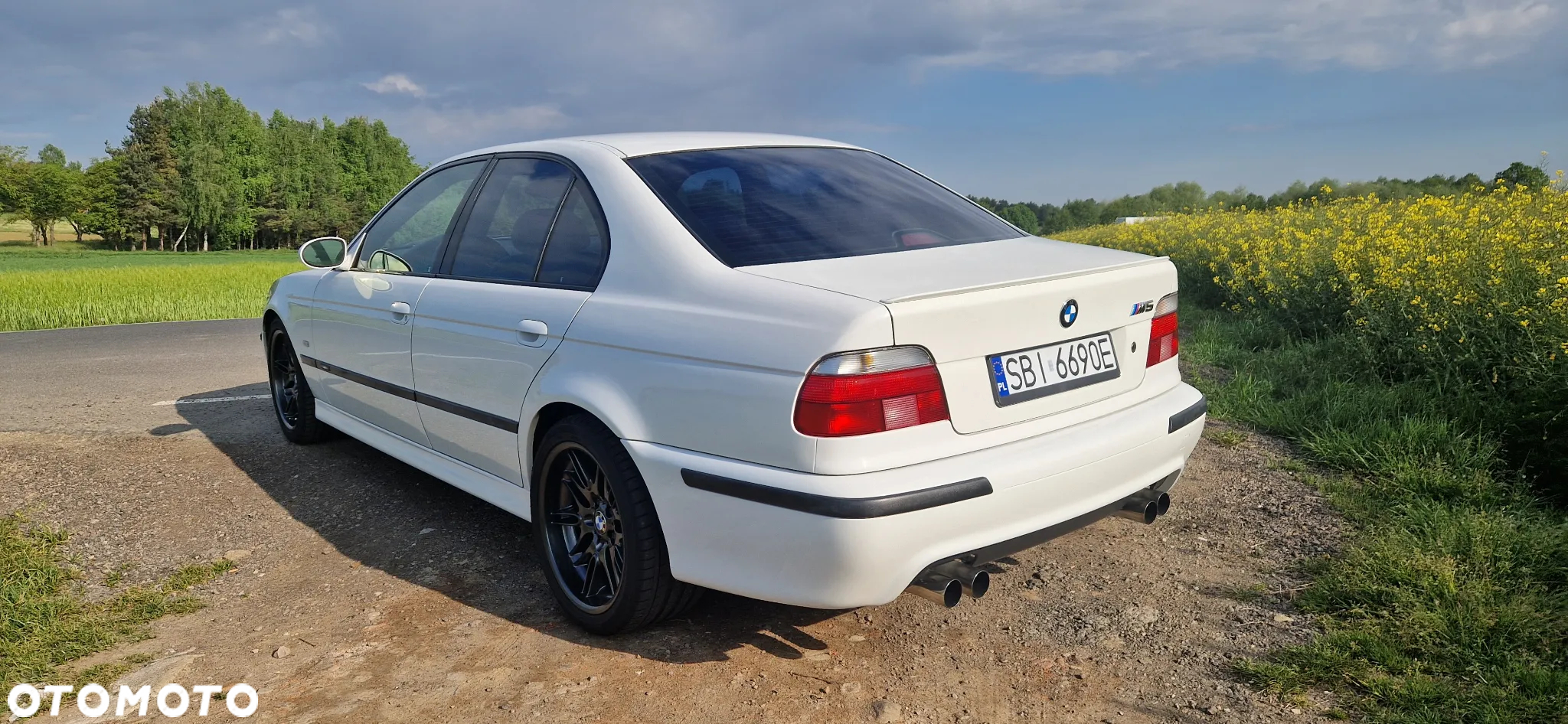 BMW M5 Standard - 6