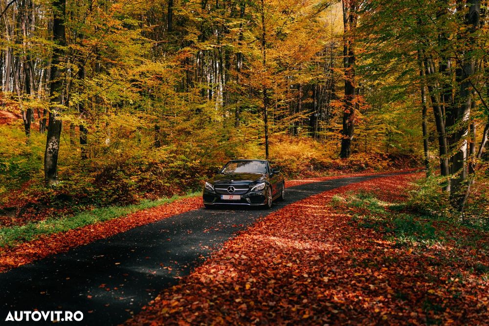 Mercedes-Benz C 220 d Cabrio 9G-TRONIC AMG Line - 10
