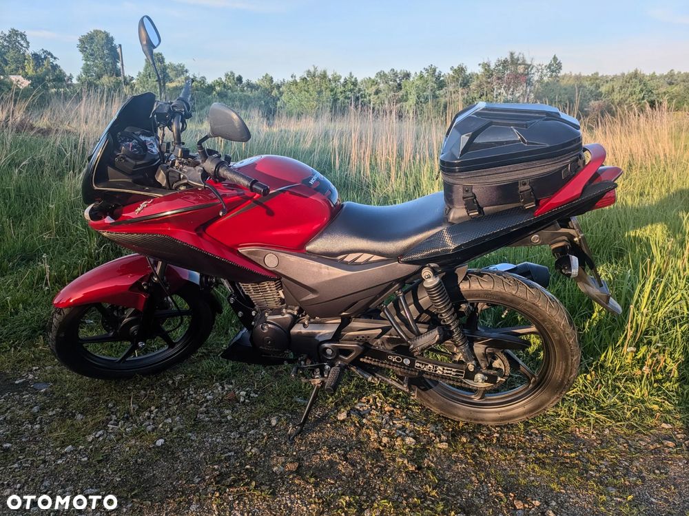 Honda CBF - 6