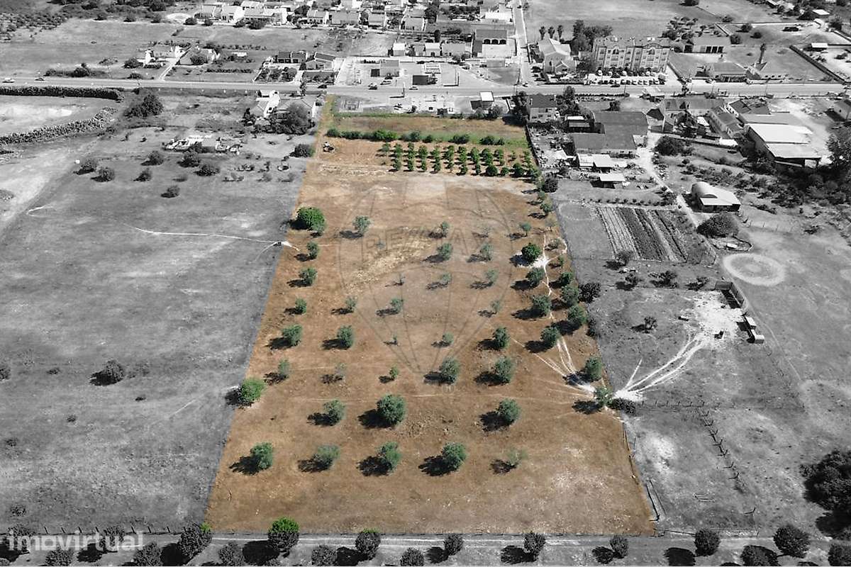 Terreno  para venda - Grande imagem: 3/8