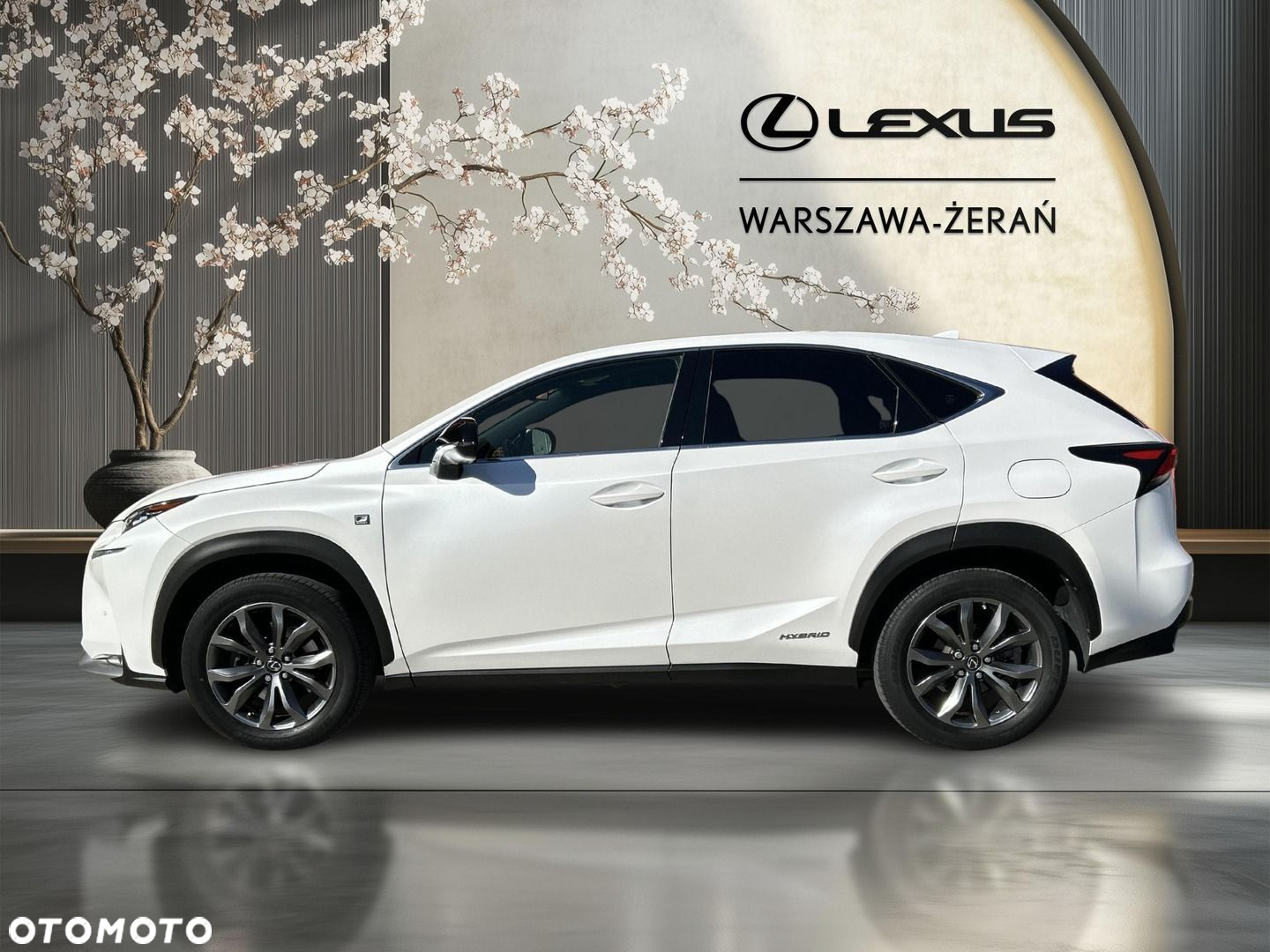 Lexus NX 300h F Sport AWD - 4