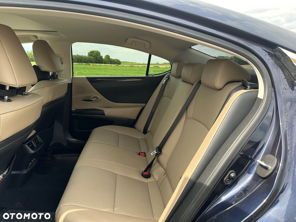Lexus ES 300h Business Edition + - 10