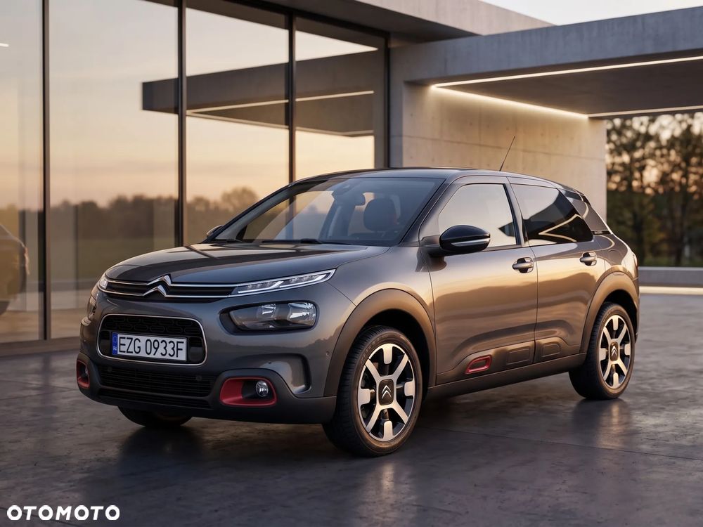 Citroën C4 Cactus PureTech 110 Stop&Start Shine - 13