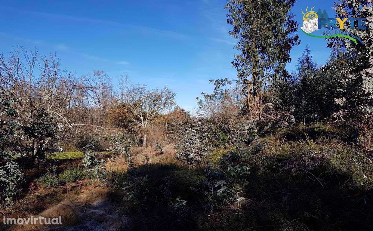 Quinta situada em Pedrógão Pequeno - Grande imagem: 4/60